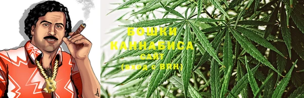 индика Белоозёрский