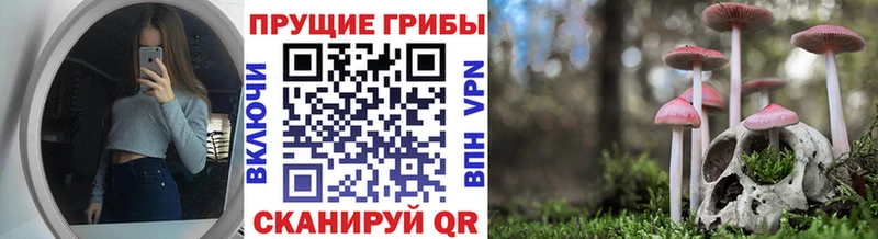 Галлюциногенные грибы MAGIC MUSHROOMS  Кущёвская 